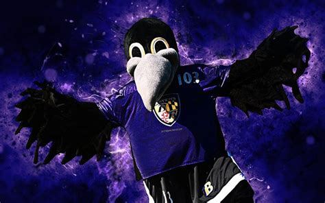The Ravens Mascot Tryouts: A Showcase of Skill and Showmanship